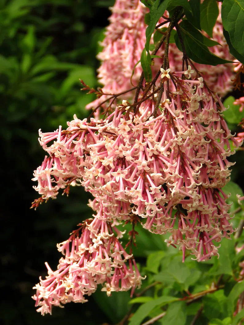 442791f2-c800-4009-8971-5f0e964eb32a