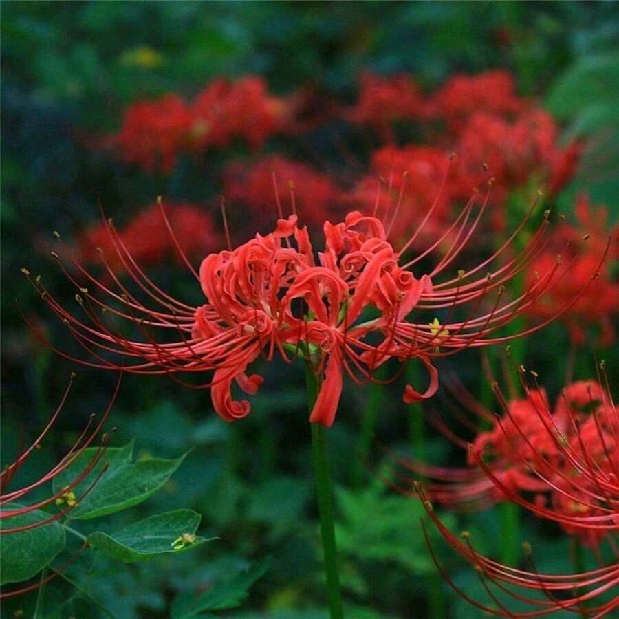 b42a29ca-4bd4-4d00-9f68-54622d5cbe0a