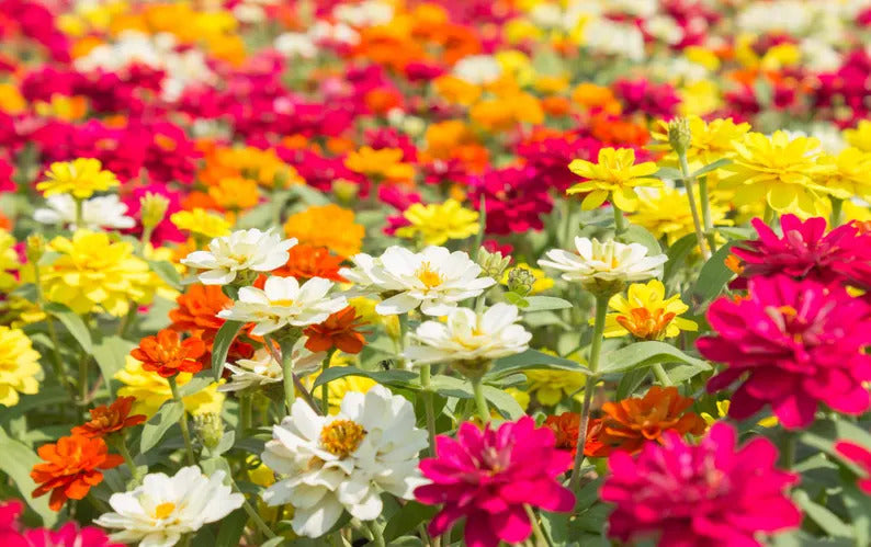 a1ab3606-4a67-406b-bddd-74e0ff9fcb9e