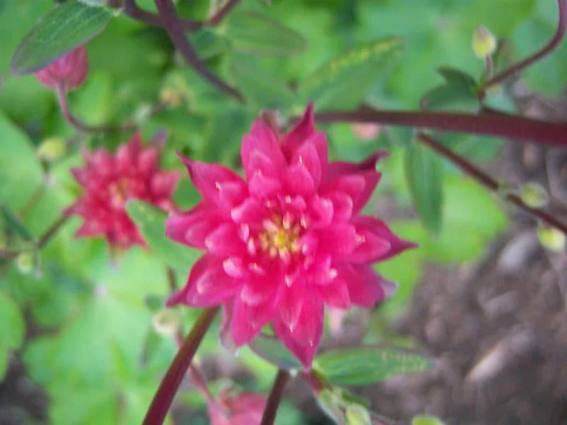 0633b5ad-f8de-4c60-a392-71ce874cfd65