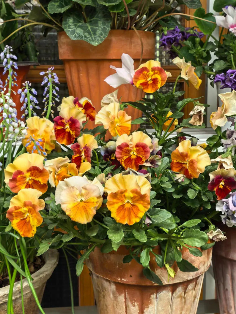 1195b723-ca0a-4cfb-b8dc-80cb336073d9