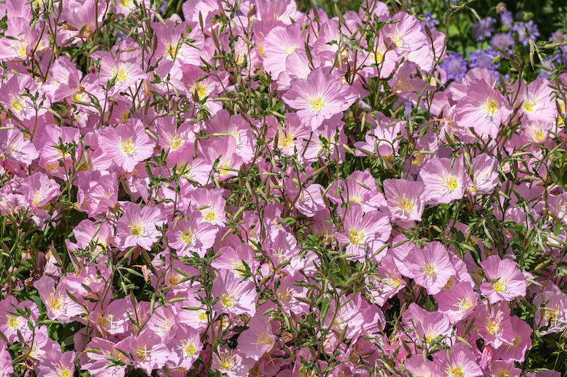 503c95ad-8920-439a-9b06-5156b22779ad