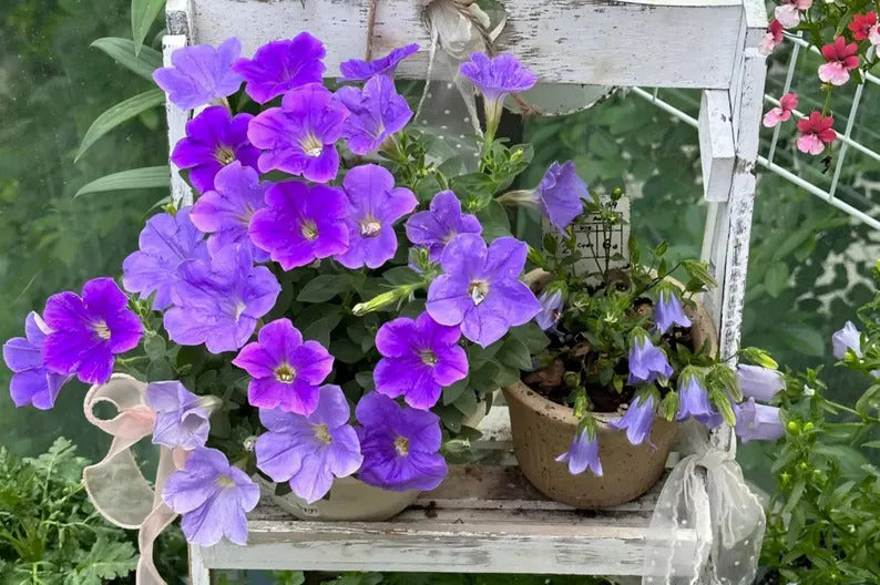 1c60d651-c6f3-40bc-b76d-eb4b65923938