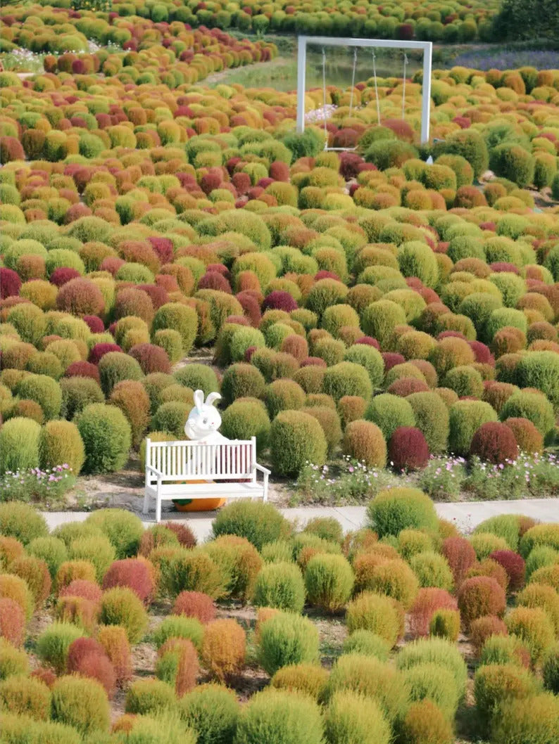 4f0b5c7b-04b7-40f2-b595-5ebeb6f651cc