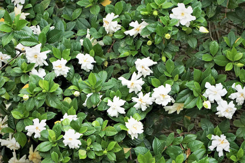 72d26b96-0c83-4b90-9ee3-c4bbd405fb5f