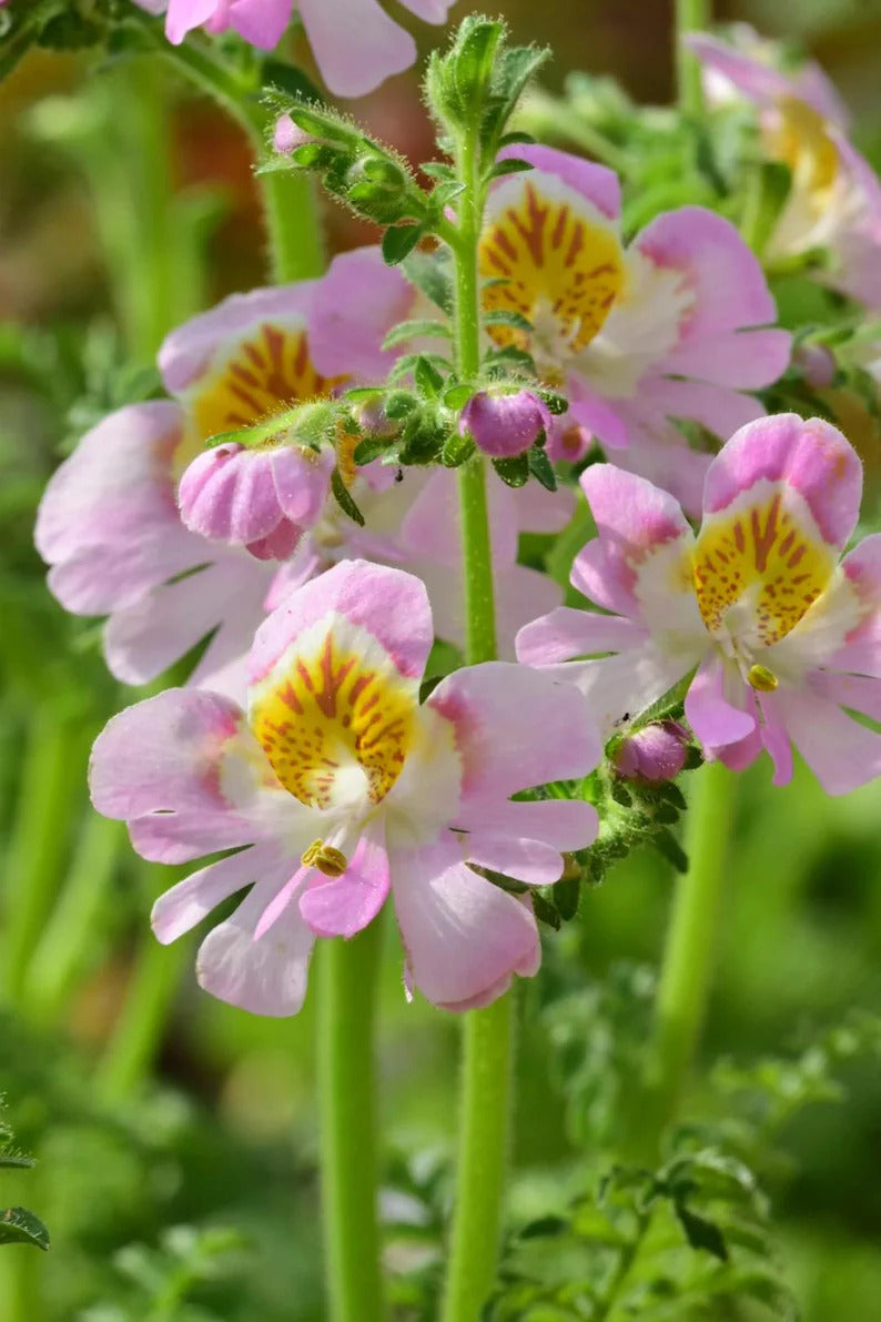 07fc306d-eaf8-4329-b43d-1792baef244e