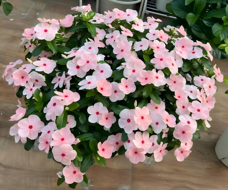 463c956c-8104-4e79-9fc7-81993bab8c80