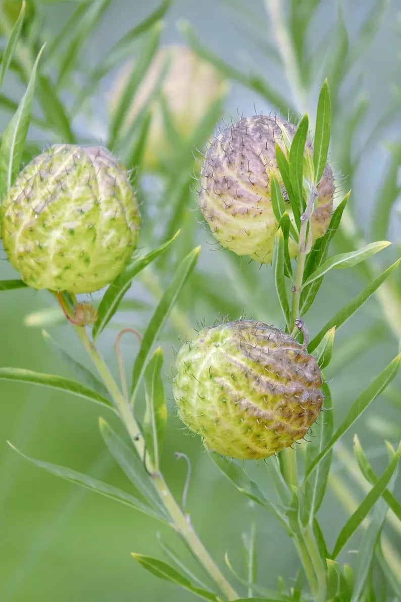 b7cd93a1-82a9-4fb1-bb85-2107593206e0