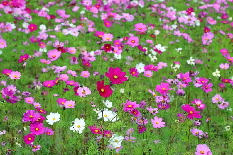 d17832a8-0f82-4d72-b648-24ed0a14ce3a