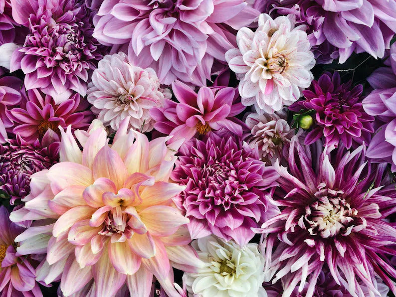 5a86033d-797a-44db-8310-627c9f1e7113