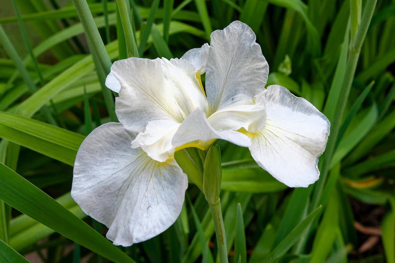 6ba0766a-d092-4894-a87c-4f0b89477856