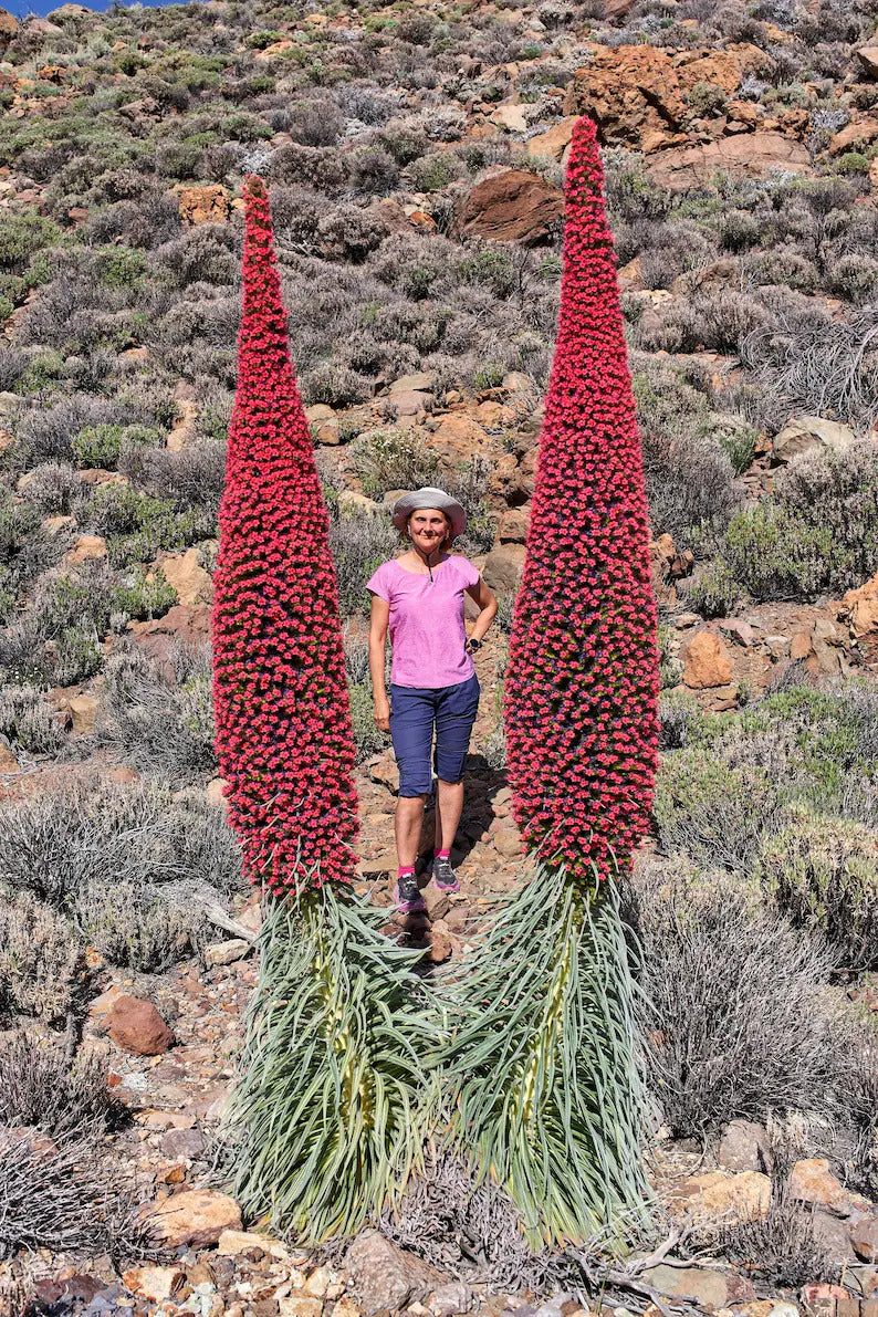 ebc48fa8-9def-4cc0-89ed-9c392fea9435