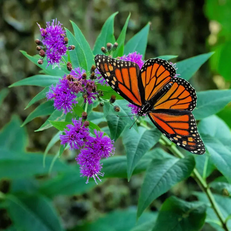 3e50e2f3-e743-41dd-a706-2c9d74e497a6