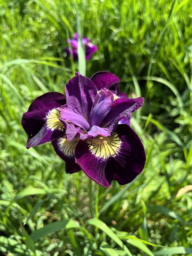 23d313e4-9d12-4918-b7d3-7f428f76ef53