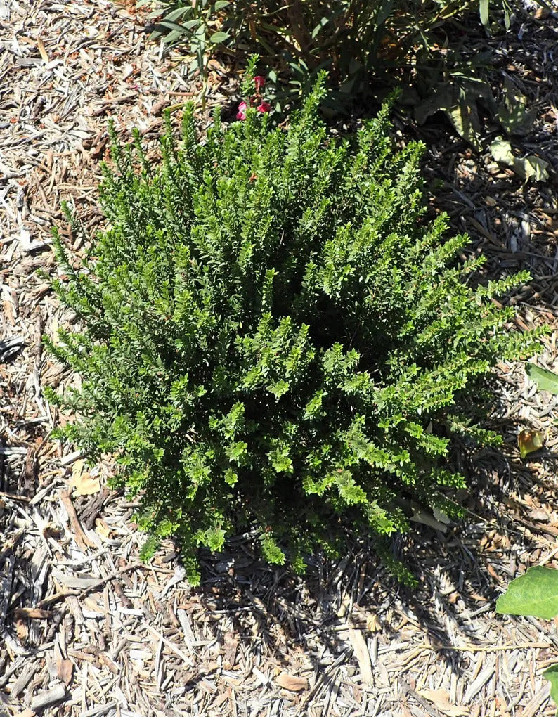 a1dfb76d-6532-4862-a303-7e47c7d7a452