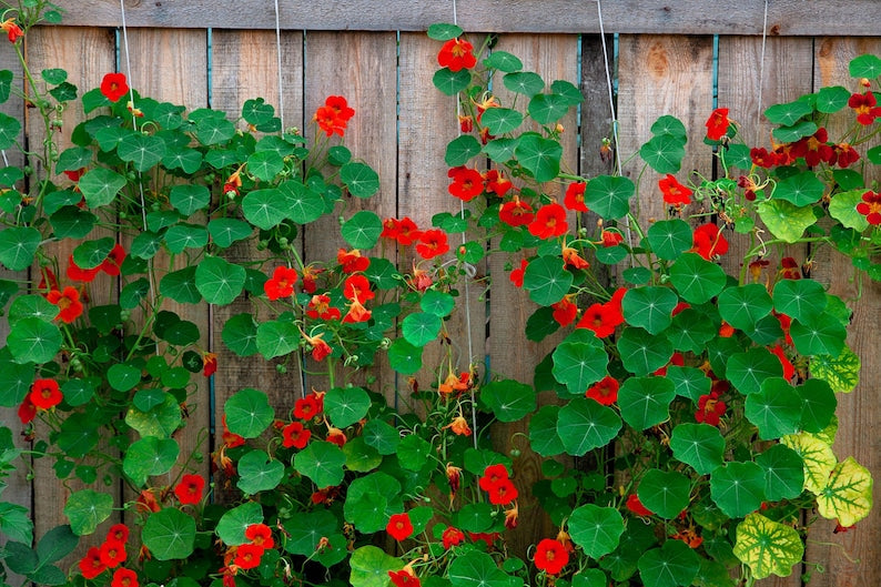 35a01656-ad57-44c4-a2c8-eb95310fbe9b