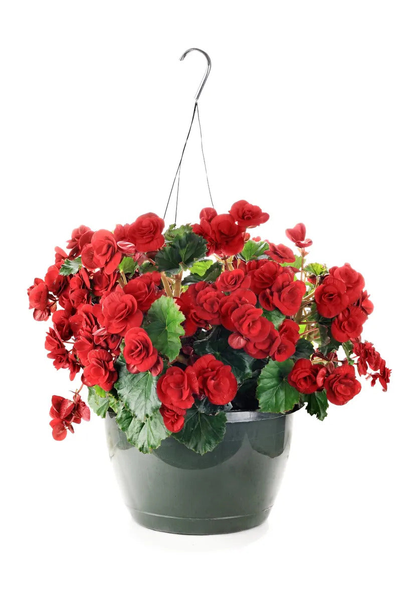 6c7fcb8f-4abc-4e2a-97ce-cfcd935618a9