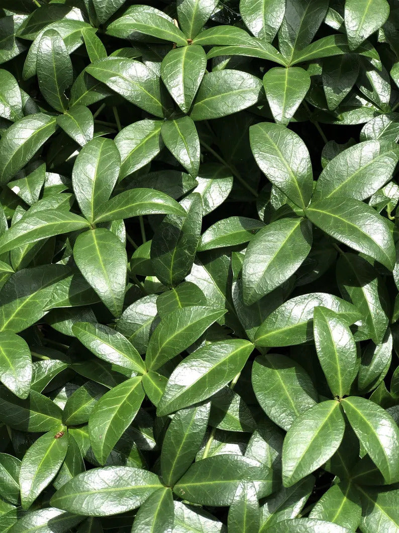 377dc114-79ce-4872-9044-76f6567c348b