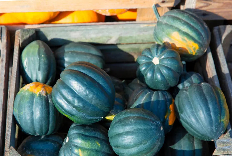 82d92dac-ce1e-4e4c-9518-5da9f9ef5bf2