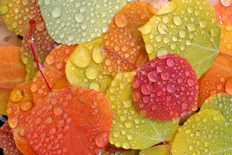 6a6f1148-399b-4b1c-b36d-1b913e89e944