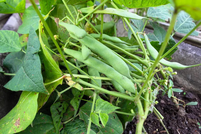 2855d903-338a-4f73-a3a8-4965a5542b39