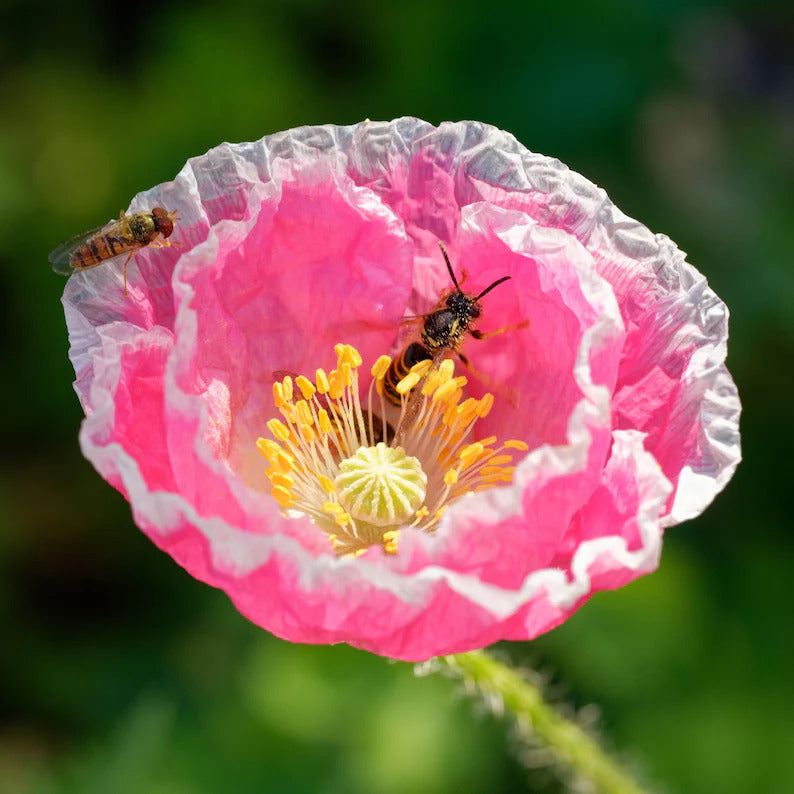 07d29d49-9b4d-430d-ac44-c743d533d42f