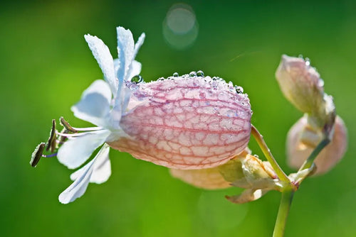 d317d163-5c1b-4838-ba18-e86ab3ef0d54