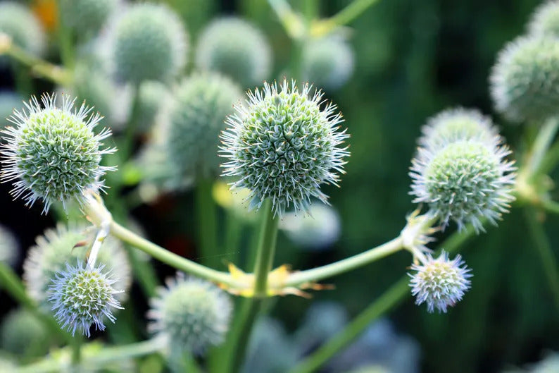 c8400eaf-2c56-46b6-a03e-34ac9ded6831