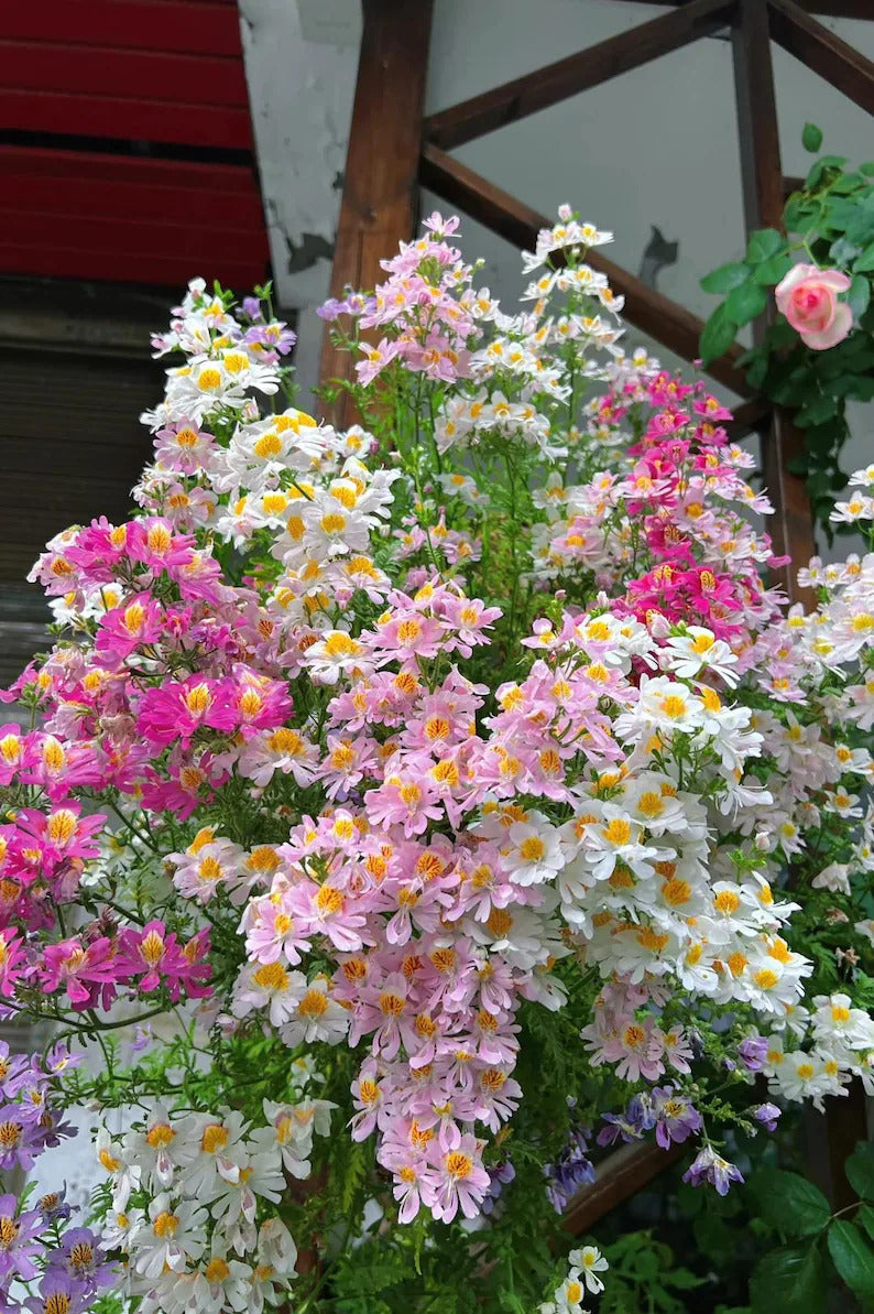 fea2e74e-c9ea-4c5b-b56a-6b2b5950cee6