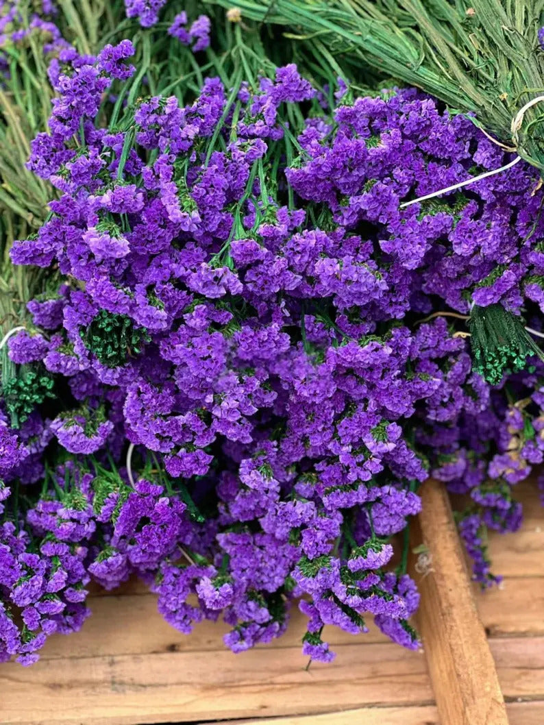 34fe5139-e01b-4172-961b-022b097bd96a