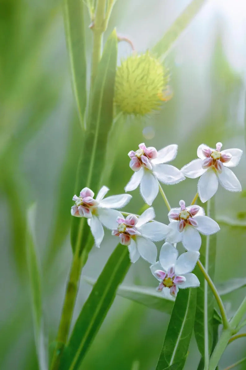 49f0dd38-4399-4e99-a47a-ce81219a380b