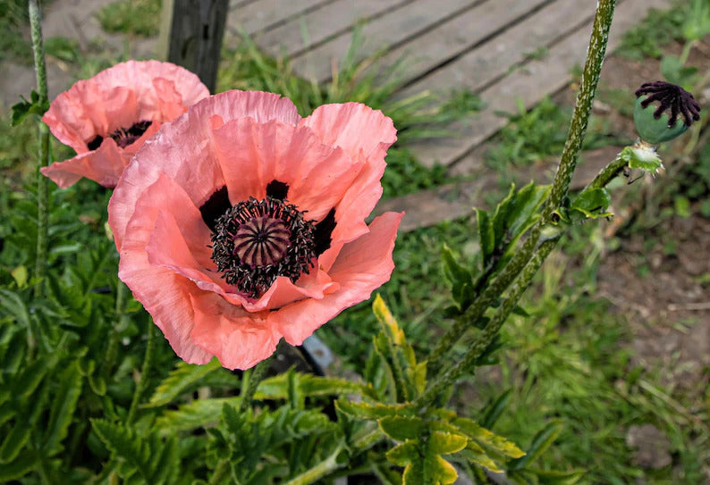 752869c1-41dd-4d13-9126-4d164501e24a