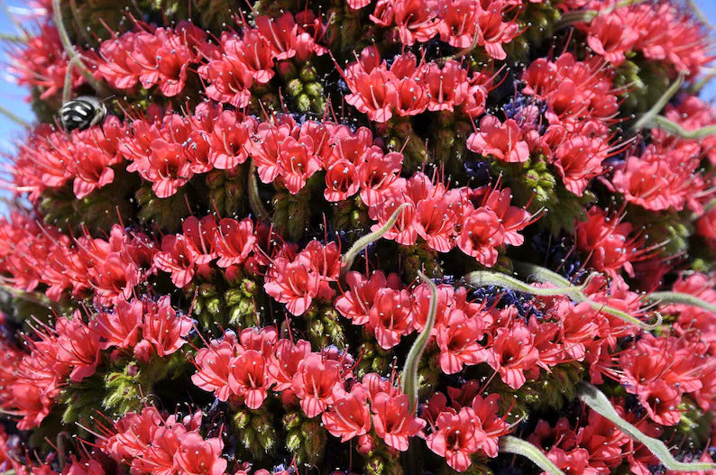 c652f8d3-9888-41bc-a400-469d8ef18ea9