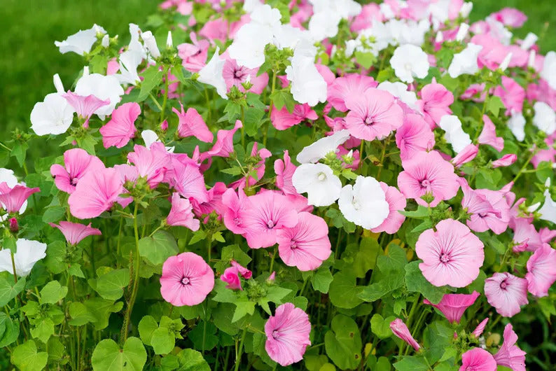 3953fd94-a689-4cbe-9456-9c6818676a1c