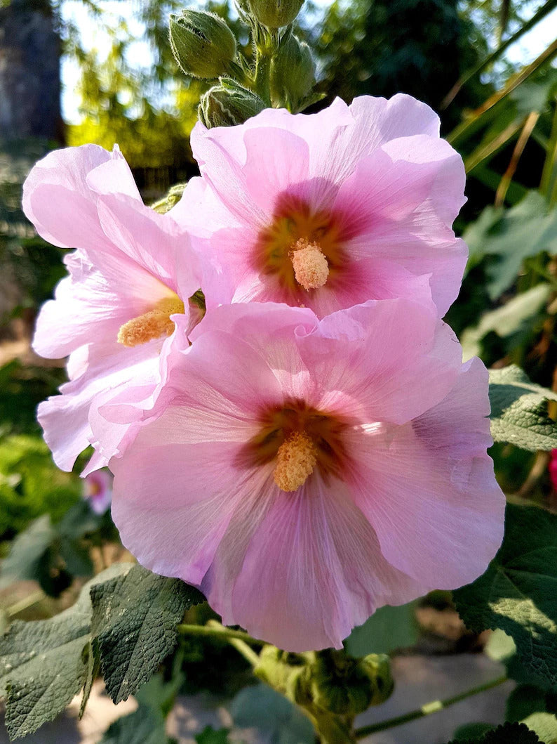 aff7c497-800d-45a7-8b28-506b4e967441