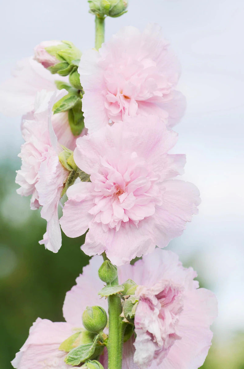 db739f54-6a23-4ed3-8297-4f0ec0cf79bc