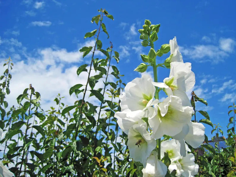 e6878f9f-6b0f-4601-8aed-d5d1669a1814