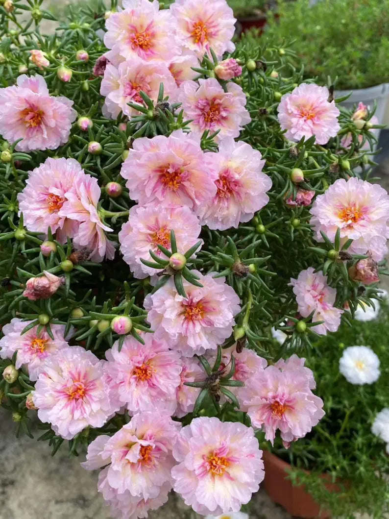 99f82ebe-4319-4d5d-805b-8f335f560360