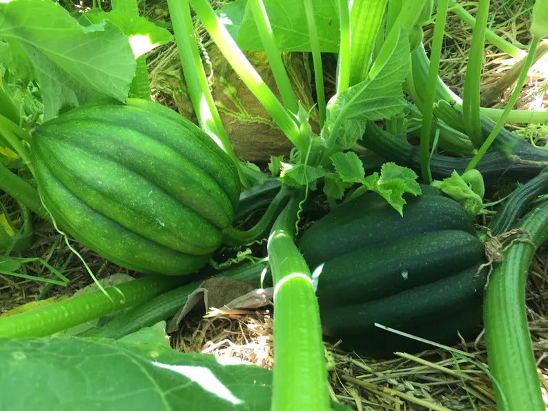 6a17b20b-9ae9-4e33-bcde-559449d995a2