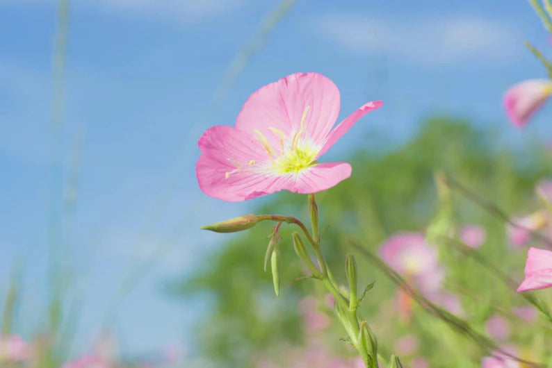 f0442b77-2e0a-40f6-8c78-60fda1b6a475