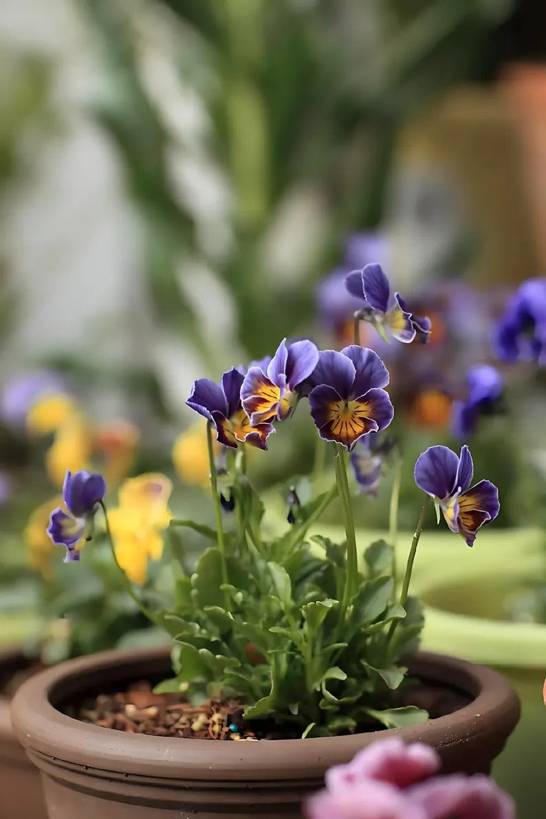 9220dd31-85a4-4dd9-94a5-4598ff1d13f8