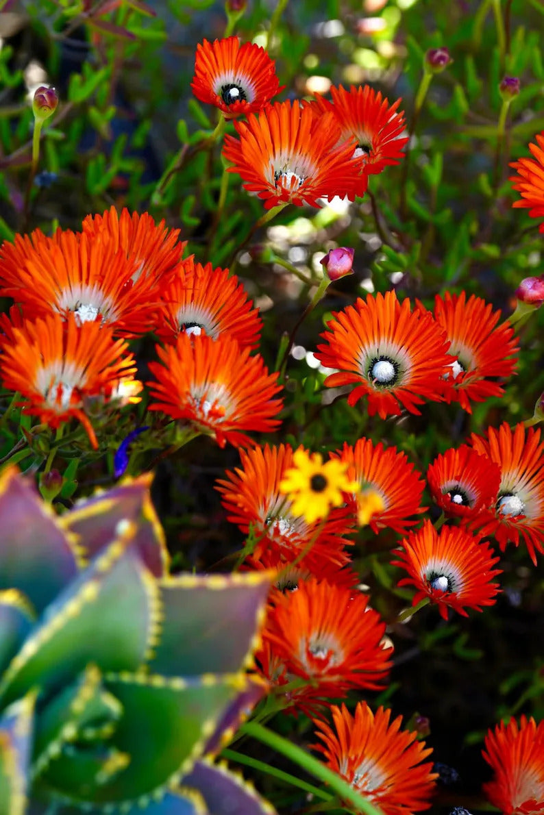 797130ba-5f07-4521-826e-db306dac86cc