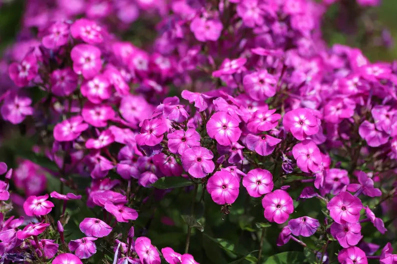 3e5a0470-988c-4f8d-904d-3cdbbbb7be85