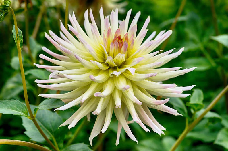 4d0ab450-c7fa-46aa-b0d9-8431ffe37fd4