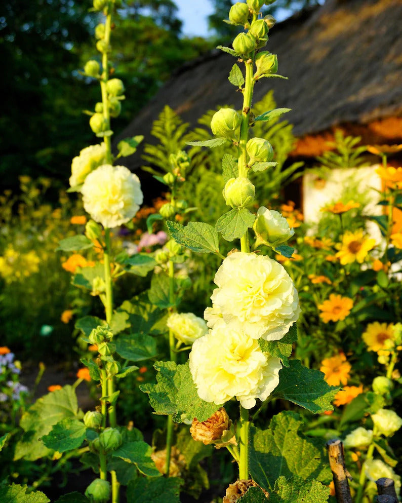 b01eed73-14c8-4048-b51a-0815b7aee94d