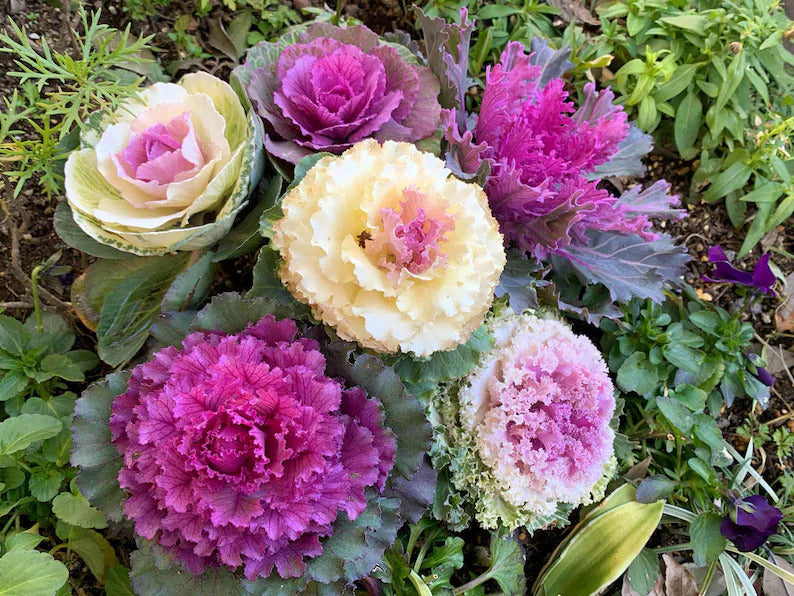 31b2d343-73fe-4782-8121-aff6ae406caa