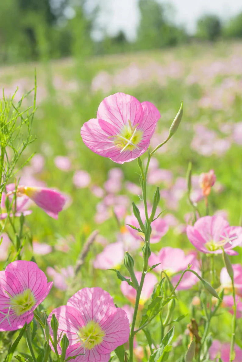 78033334-82fc-4938-8705-024a659cef13