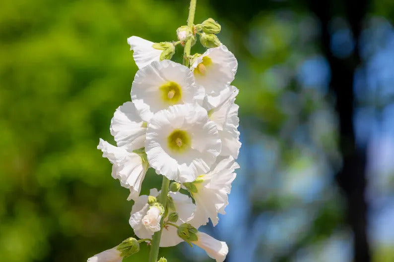 1865e3ea-954b-47e3-9560-ac6017ef5fa6