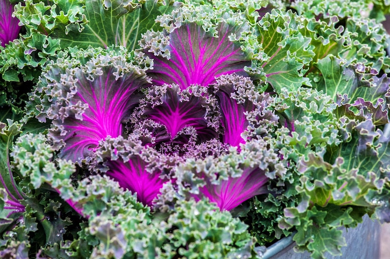 1c0f6f07-ad89-42f3-93a0-f24434c33782