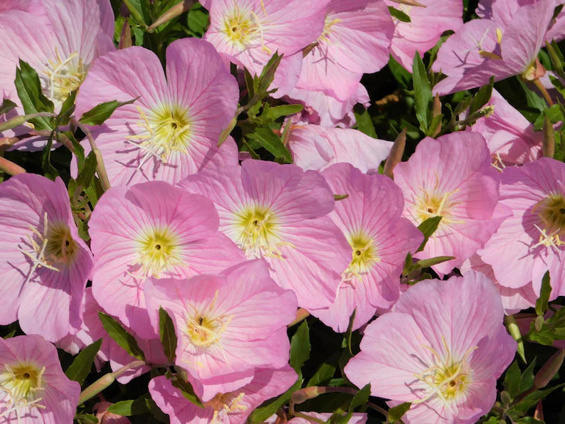 ef21c275-3444-4536-acc6-c86cdcccb79f